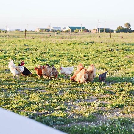 Aintree Farm Cottage Langebaan Exterior photo